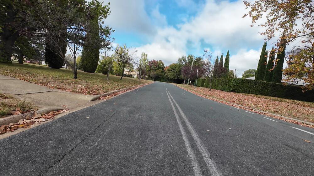 Wakefield Gardens, Ainslie