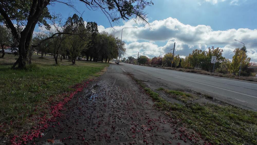 On Northbourne