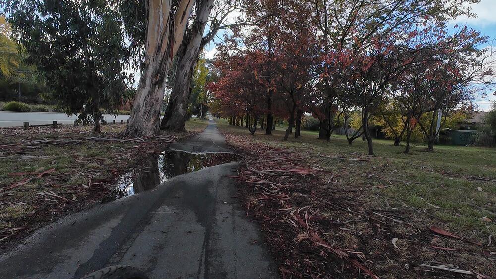 Federal Highway bike path
